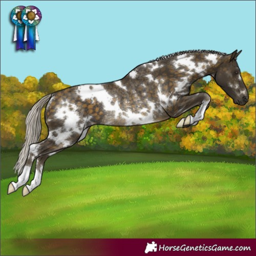 Horse Color:White Spotted Silver Buckskin Rabicano 
