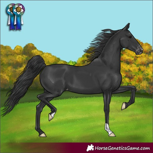 Horse Color:Black Varnish