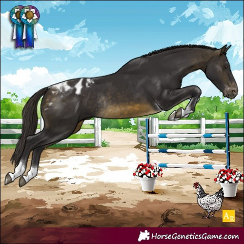 Horse Color:Buckskin Tobiano Varnish Rabicano