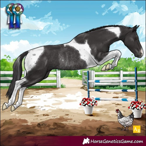 Horse Color:Smoky Black Tobiano Rabicano