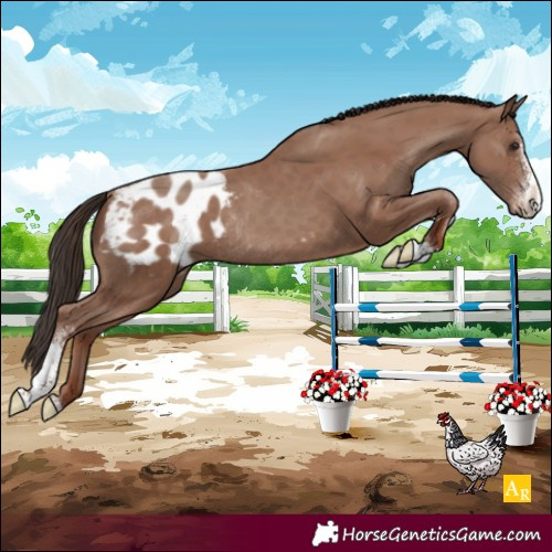 Horse Color:Classic Champagne Sabino Varnish Rabicano 