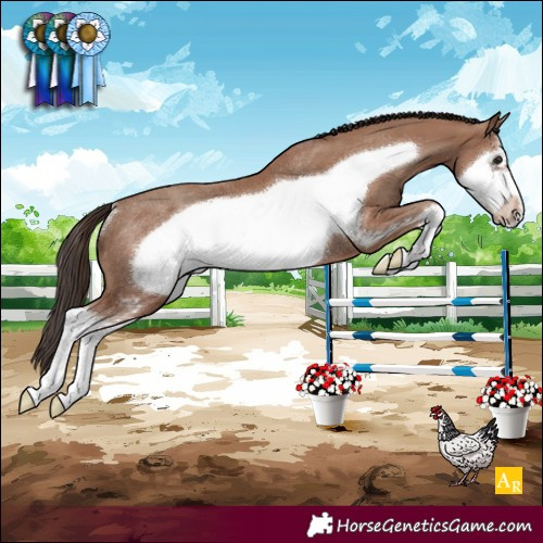 Horse Color:Classic Champagne Sabino Frame Rabicano