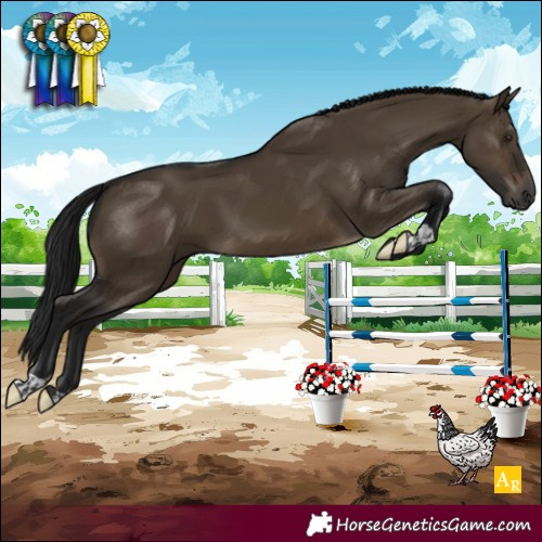 Horse Color:Gray Brown Dun 