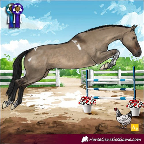 Horse Color:Gray Brown Dun Tobiano