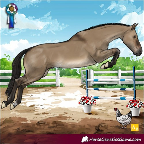 Horse Color:Gray Brown Dun 
