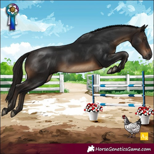 Horse Color:Gray White Spotted Bay Rabicano 