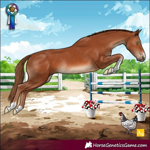Horse Color:Chestnut Sabino Rabicano 