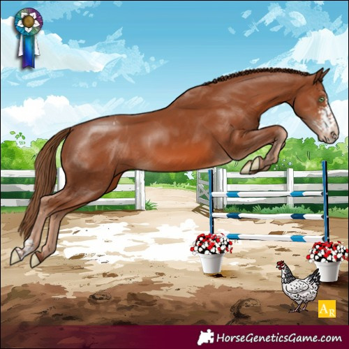 Horse Color:Chestnut Sabino Varnish Rabicano
