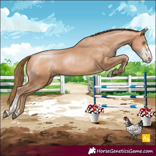 Horse Color:Bay Pearl Sabino