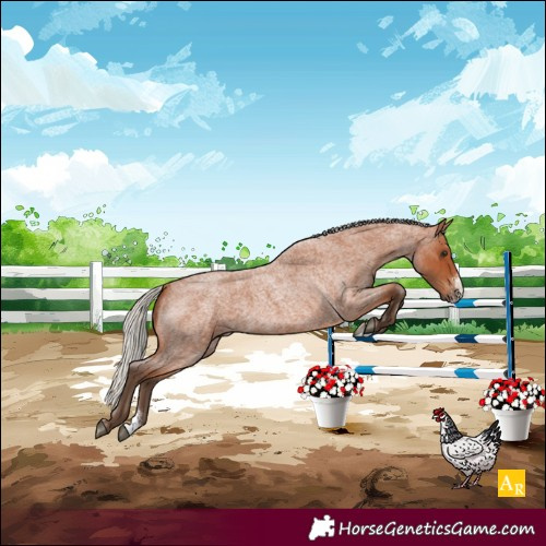 Horse Color:Silver Bay Roan Sabino