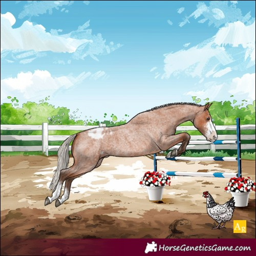 Horse Color:Silver Bay Roan Sabino Blanket 