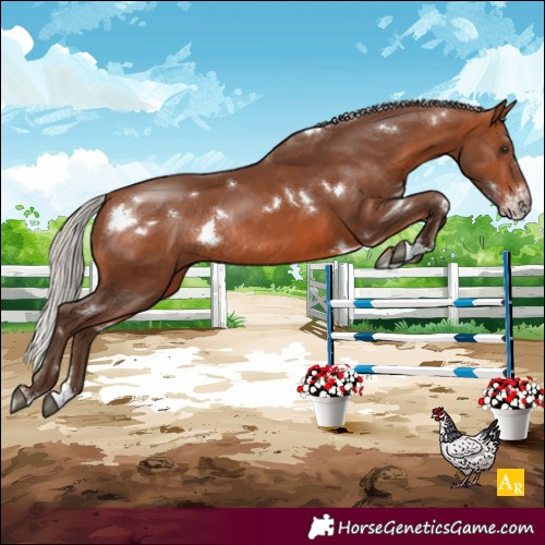 Horse Color:White Spotted Silver Brown Sabino Rabicano