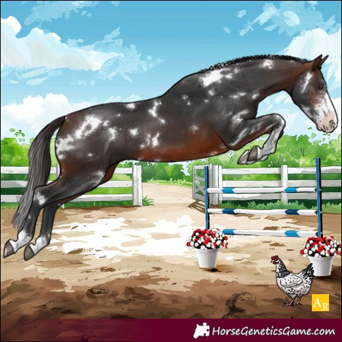 Horse Color:White Spotted Brown Sabino 