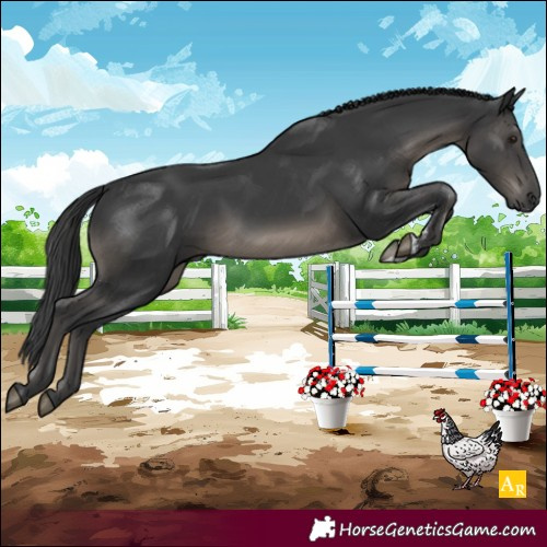 Horse Color:Black Sabino Rabicano 