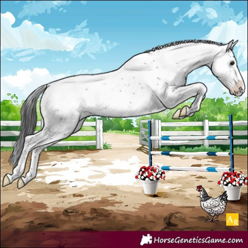 Horse Color:Black Sabino Rabicano
