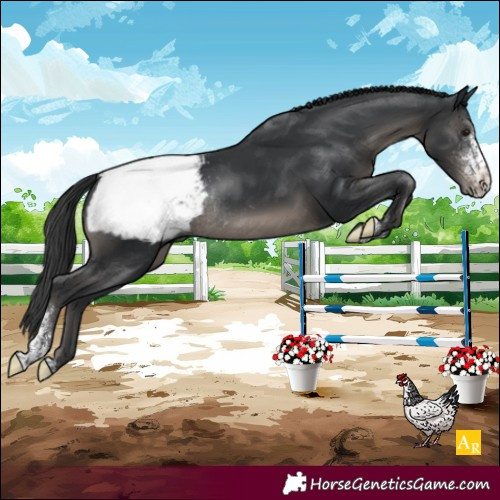 Horse Color:Black Sabino Snowcap Rabicano 