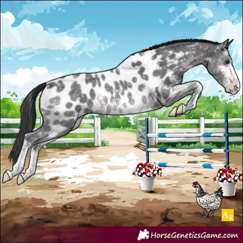 Horse Color:Black Sabino Near Leopard Rabicano