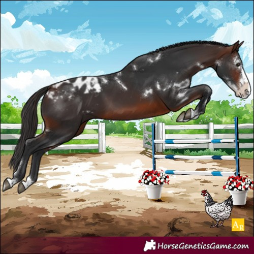 Horse Color:White Spotted Brown Sabino Splash Blanket Rabicano 