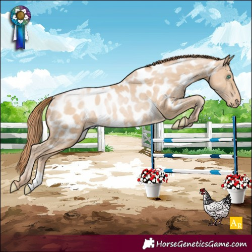 Horse Color:Smoky Black Pearl Near Leopard Rabicano 