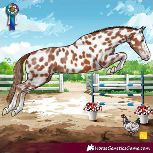 Horse Color:Chestnut Near Leopard 