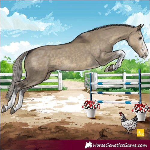 Horse Color:White Spotted Silver Smoky Grullo Rabicano 
