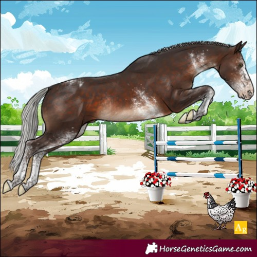 Horse Color:White Spotted Silver Brown Tobiano Varnish Rabicano 