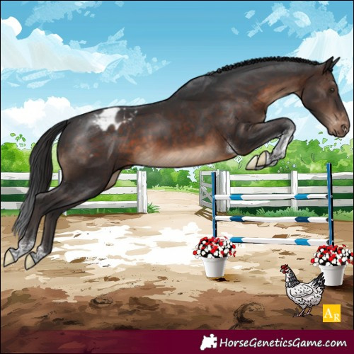 Horse Color:Brown Tobiano Blanket