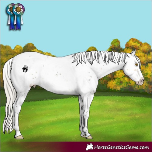 Horse Color:Silver Buckskin Sabino Varnish 