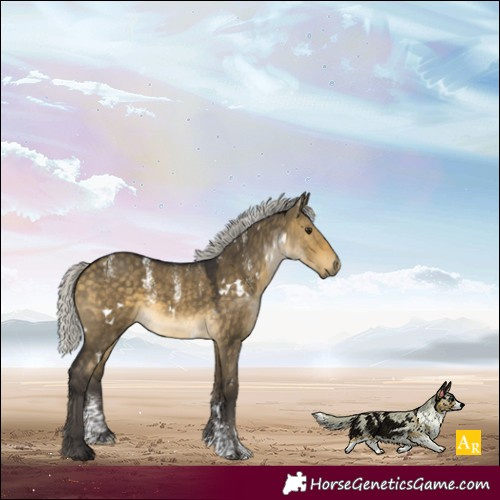 Horse Color:Powder White White Spotted Silver Buckskin Dun Rabicano