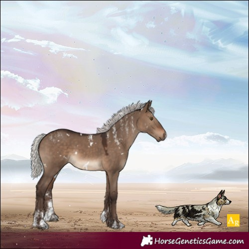 Horse Color:Powder White White Spotted Silver Brown Dun Rabicano