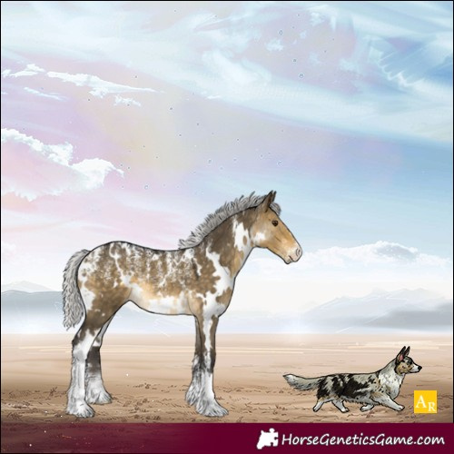 Horse Color:Powder White White Spotted Silver Buckskin Dun Rabicano 