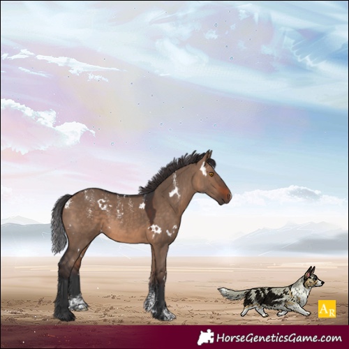 Horse Color:Powder White White Spotted Brown Dun Rabicano