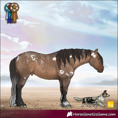 Horse Color:Powder White White Spotted Brown Dun Rabicano