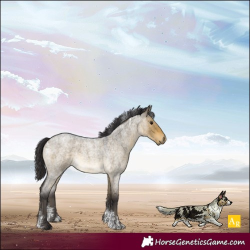 Horse Color:Powder White Buckskin Roan Dun Rabicano