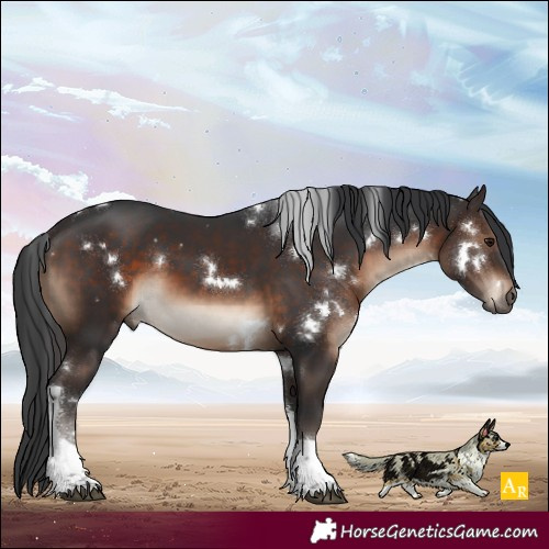 Horse Color:White Spotted Brown Tobiano 