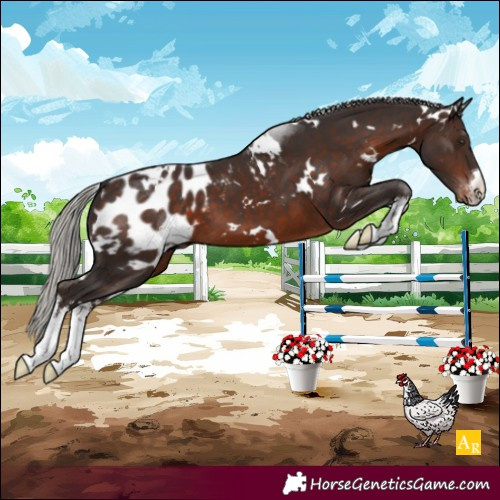 Horse Color:White Spotted Silver Brown Blanket