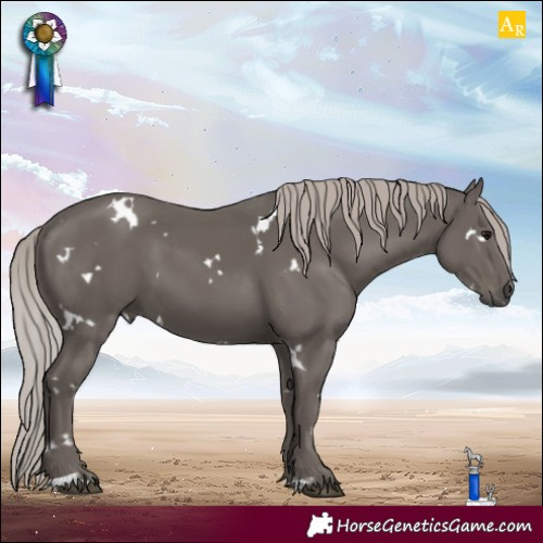 Horse Color:White Spotted Silver Black 