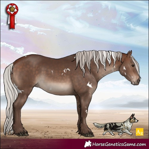 Horse Color:White Spotted Silver Brown