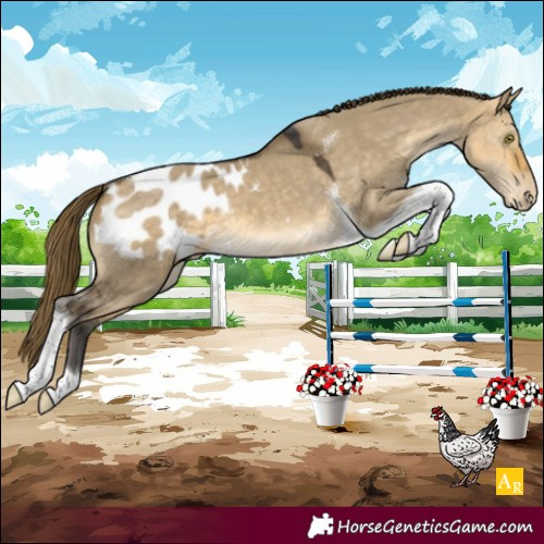 Horse Color:Buckskin Dun Mushroom Tobiano Blanket 