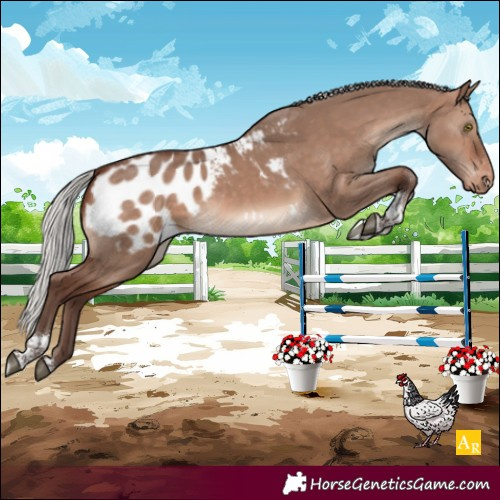 Horse Color:Silver Brown Dun Mushroom Tobiano Blanket