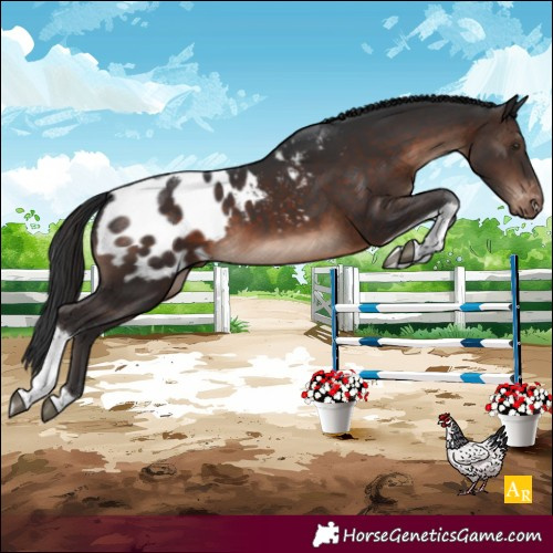 Horse Color:Brown Mushroom Tobiano Blanket 