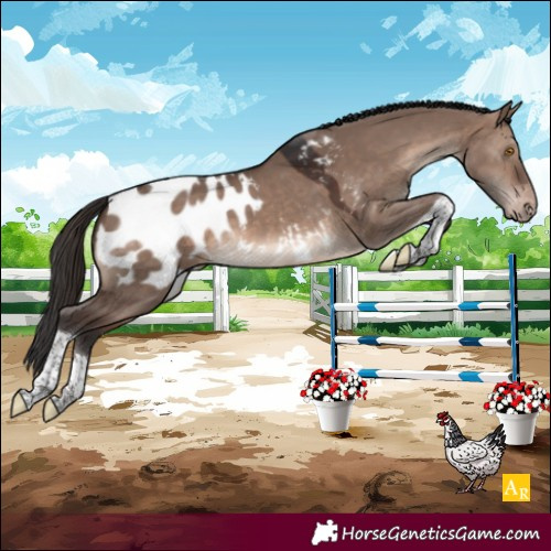 Horse Color:Brown Dun Mushroom Tobiano Blanket