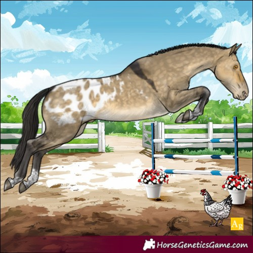 Horse Color:Buckskin Dun Mushroom Tobiano Blanket