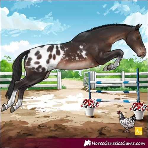 Horse Color:Brown Mushroom Tobiano Blanket