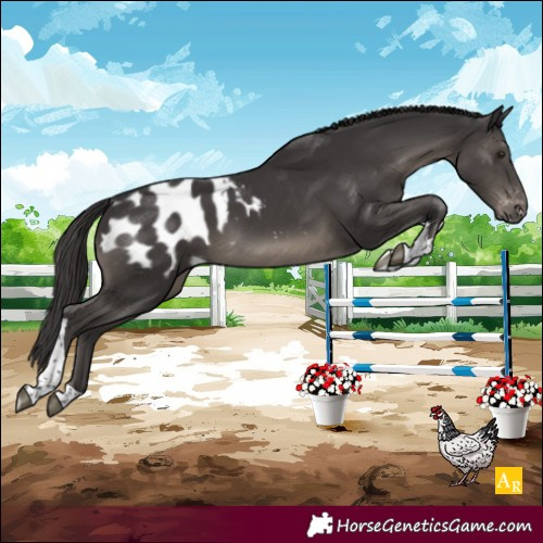 Horse Color:Smoky Black Tobiano Blanket