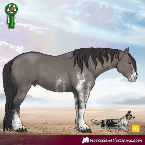 Horse Color:White Spotted Smoky Grullo Mushroom 
