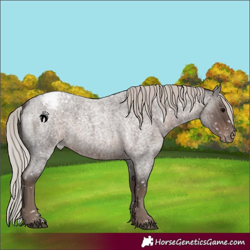Horse Color:Silver Blue Roan Snowcap