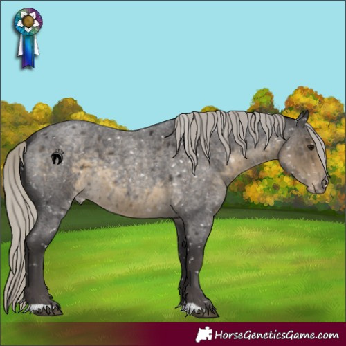 Horse Color:Silver Smoky Blue Roan Blanket