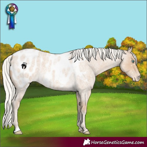 Horse Color:Silver Smoky Creme Roan Near Leopard