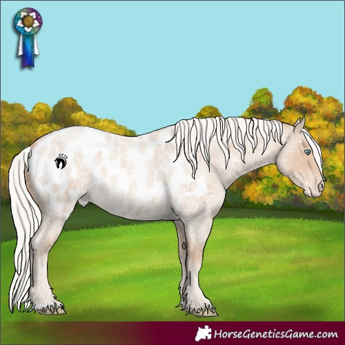 Horse Color:Silver Smoky Creme Roan Near Leopard
